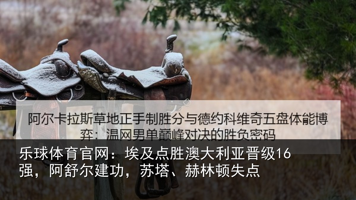 乐球体育官网：埃及相关情况16强阿相关情况顿失点