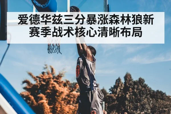 爱德华兹三分暴涨森林狼新赛季战术核心清晰布局